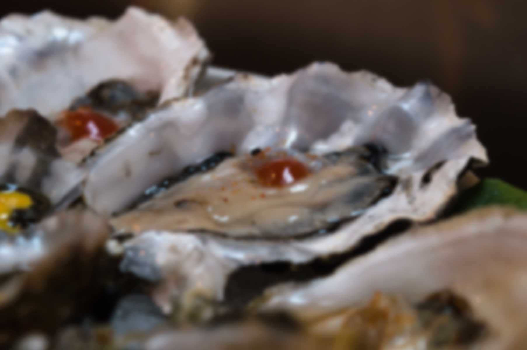 Exxus Oyster Bar | Bienvenidos